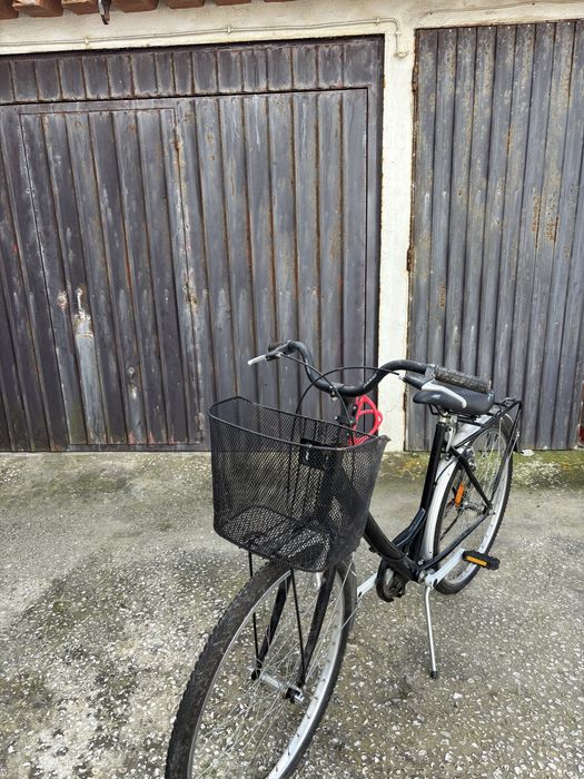Bicicleta adulto