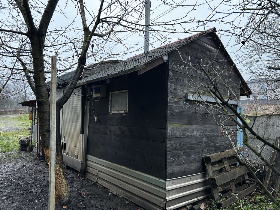 Курятник в зборі