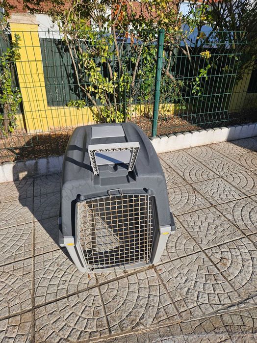 Transportadoras de cães