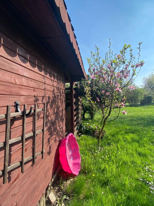 Działka rekreacyjna Sosnowiec