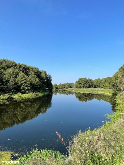 Leśne siedlisko nad rzeką. 45 minut od Warszawy!