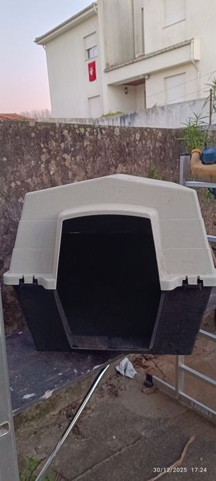 Casota para cães