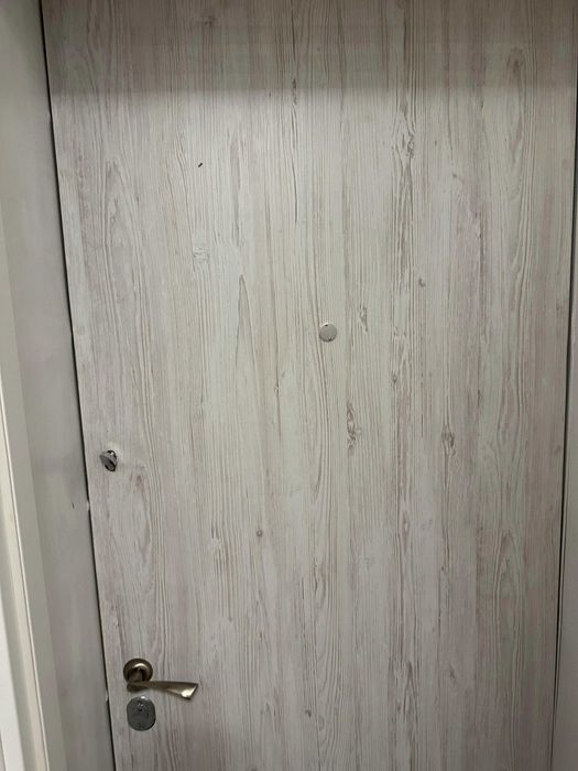 Двери входные металлические