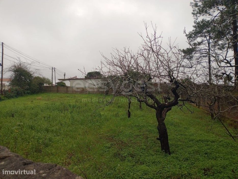 Terreno para construção, situado em Martingança