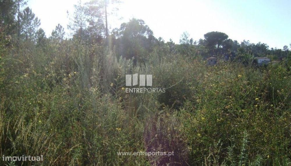 Venda Terreno, Constance, Marco de Canaveses — Constance, Porto