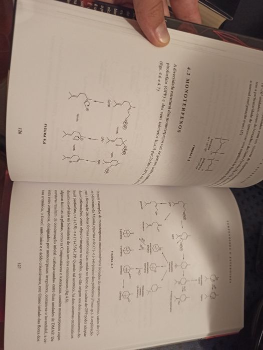 Livro "Reactores Biológicos"