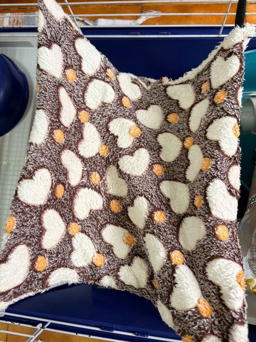 Itens porquinho da india