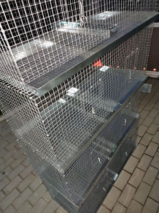 Gaiola aves / animais