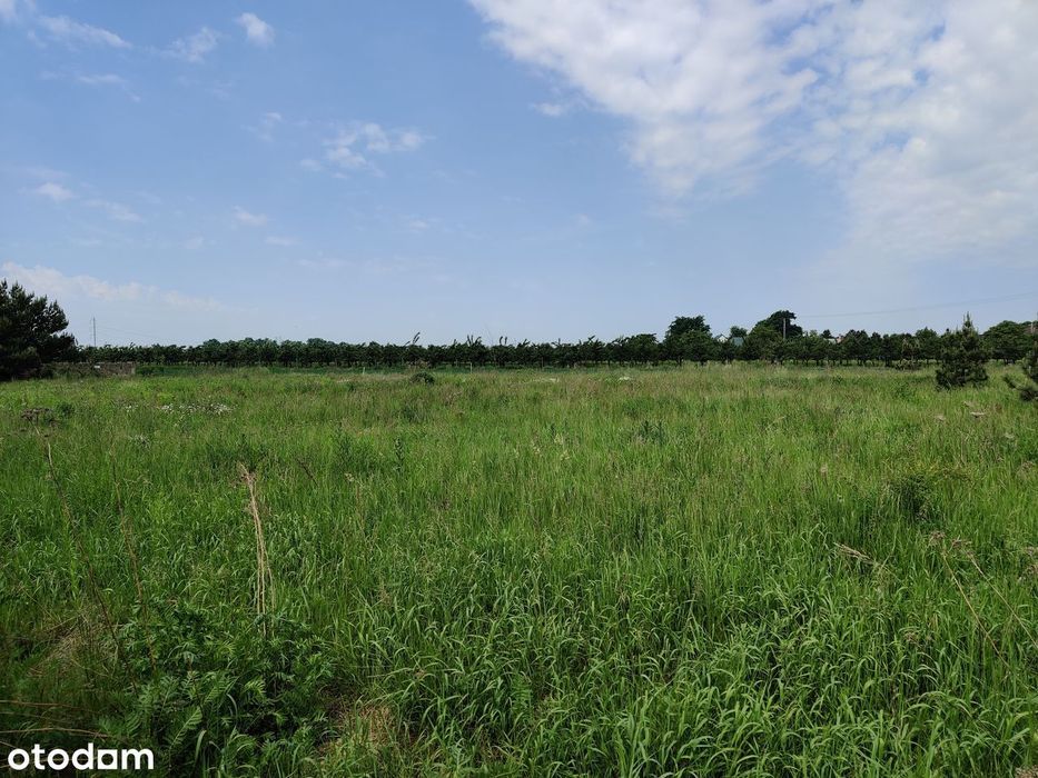 Działka budowlana 1206 m² | MPZP | projekt + pozwolenie | Tyniec Mały