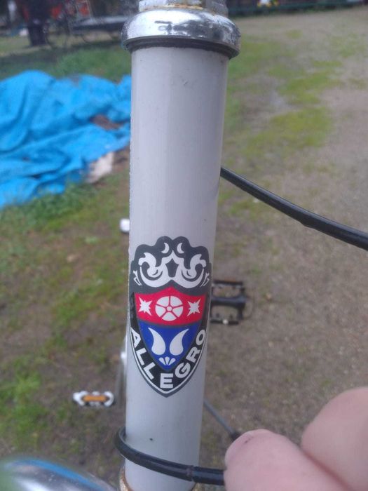 Bicicleta Vintage