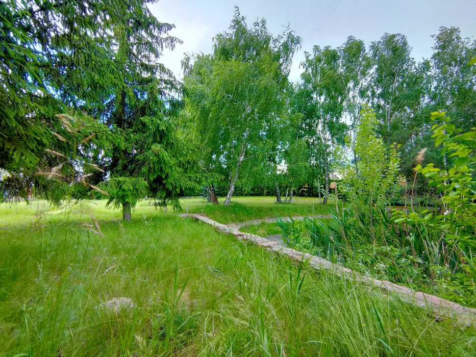 Елітна ділянка 200 соток,Осокорки до 1 шлюзу,Дніпро,Славутич 8 км,без%