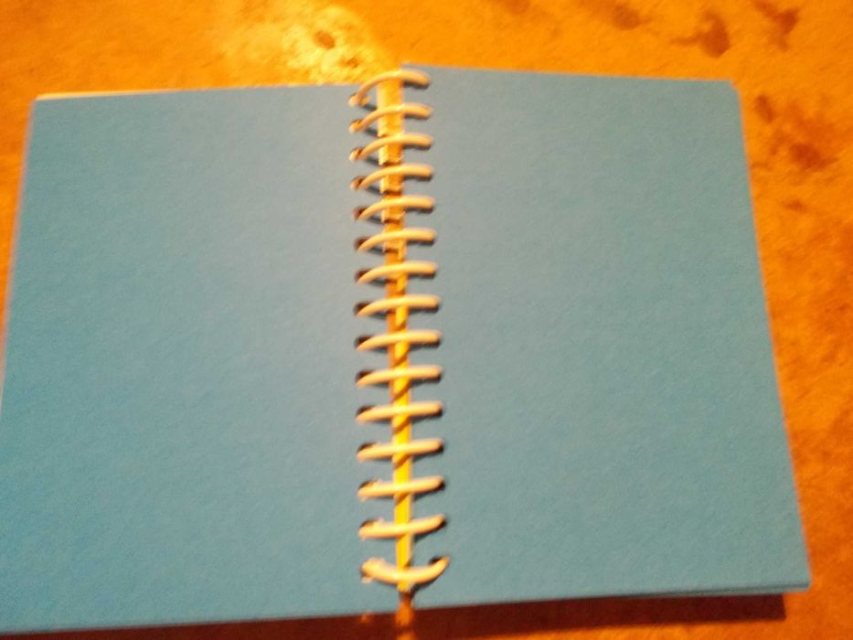 pequeno caderno em espiral da Evax