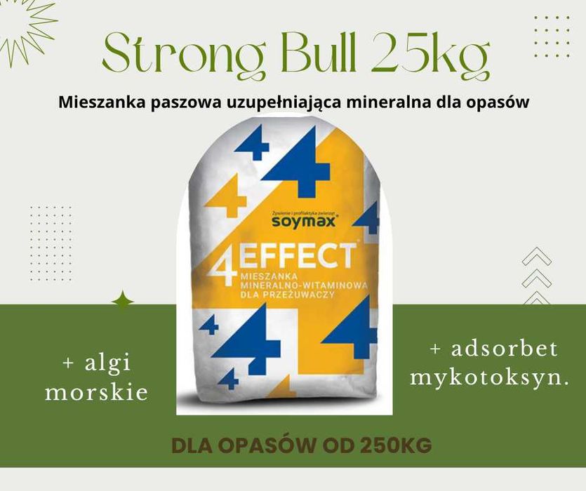 Premix dla opasów StrongBull 25kg Mieszanka min.-witaminowa