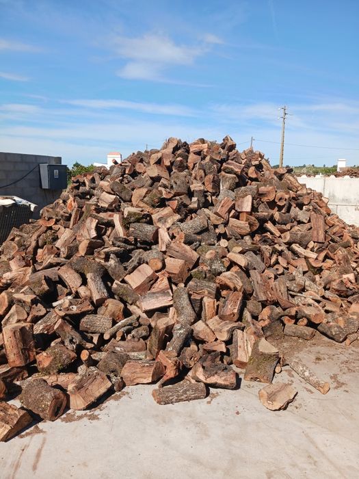 Azinho seco para venda