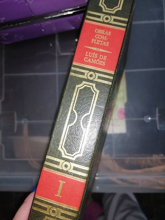 Dicionários grandes e Livro Os Lusíadas