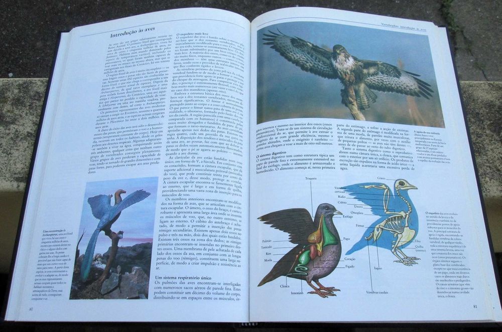 Encyclopedia of Knowledge: Science and Technology, Animals64738807276803122