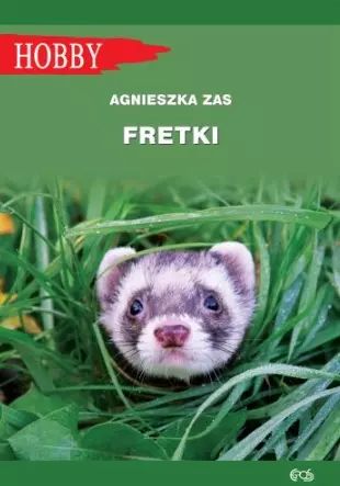 Fretki. Nowy Produkt