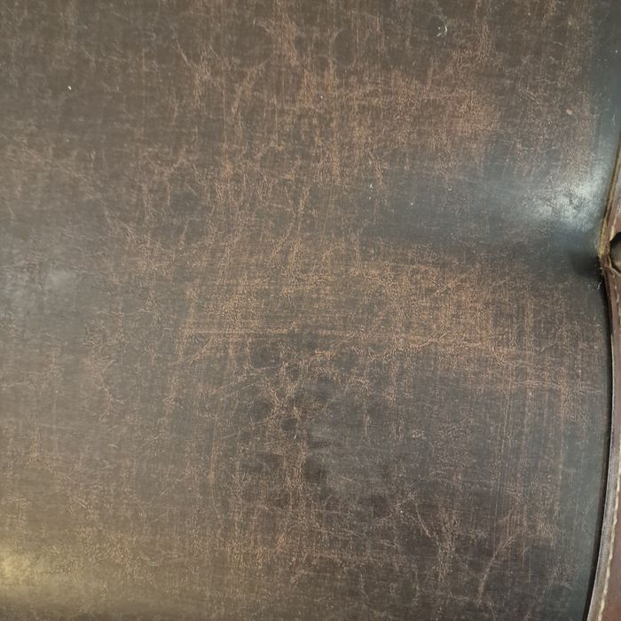 Arca antiga castanha