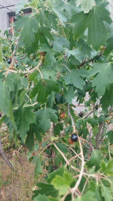 Будинок за адресою (площа 87 м²) - Atlanta.ua - фото 18