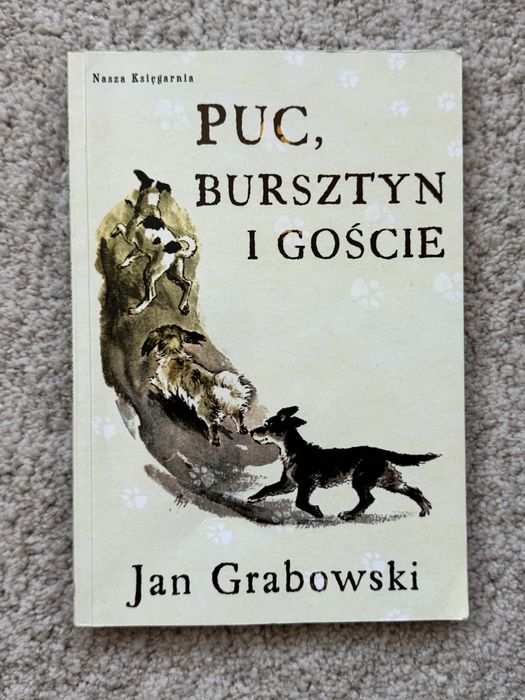 Puc Bursztyn i Goście książka