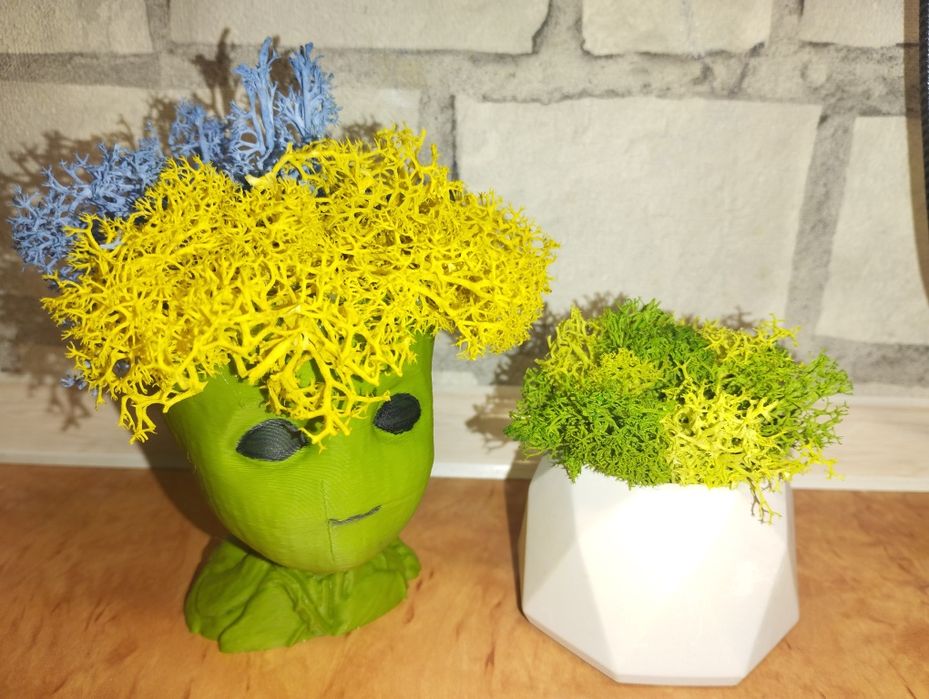 Кашпо з мохом, декор з мохом, подарунок, квіти