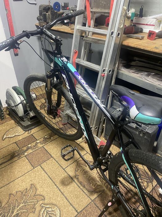 Велосипед, Велосипед для хлопців та дівчат