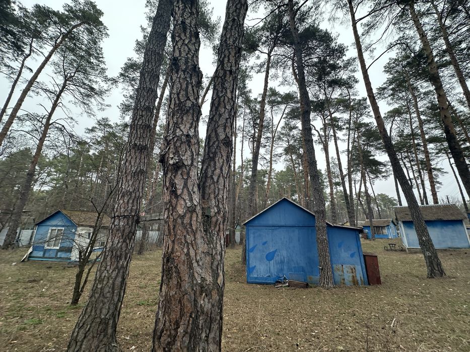 Продаж Бази Відпочинку .  Вишгород село Новосілки ТП Світло 160 кіловат . ГАЗ , Річка водойма 5 хв