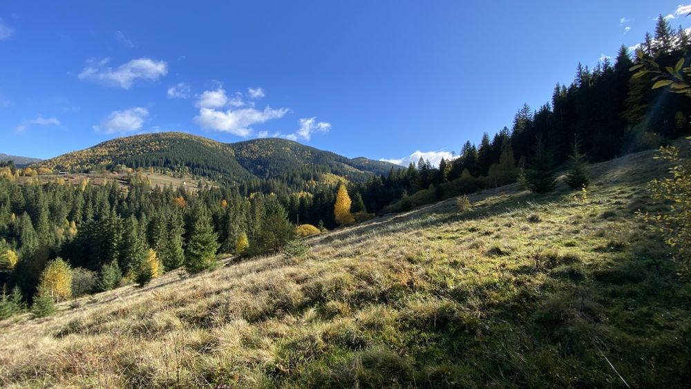 Земля під будову, межує з лісом, гарний доїзд