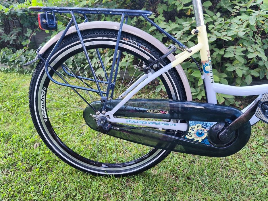 Rower Alpina 24 cali