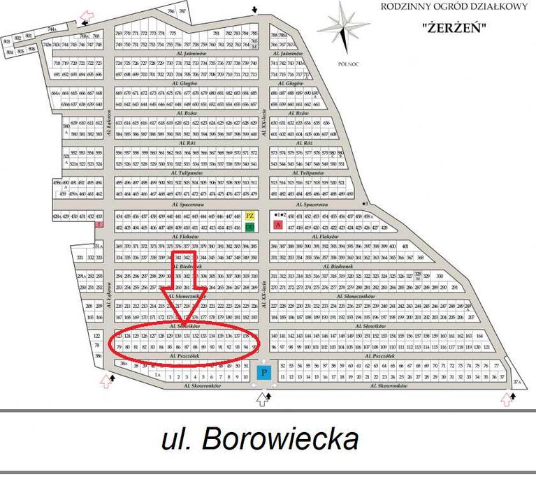 Działka ROD Żerżeń (Wawer) – Twoja oaza blisko natury! - Widok 3