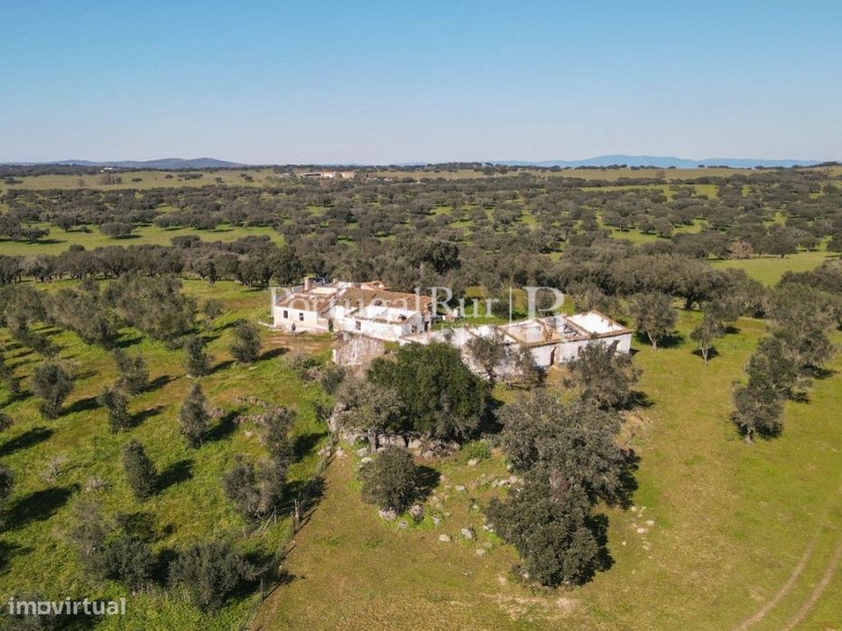 Herdade de 20 hectares perto de Estremoz