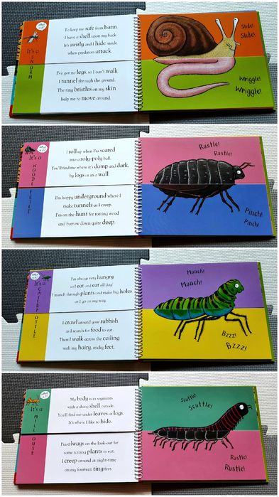 Axel Scheffler's Flip Flap Minibeasts kreatywna zabawa po angielsku