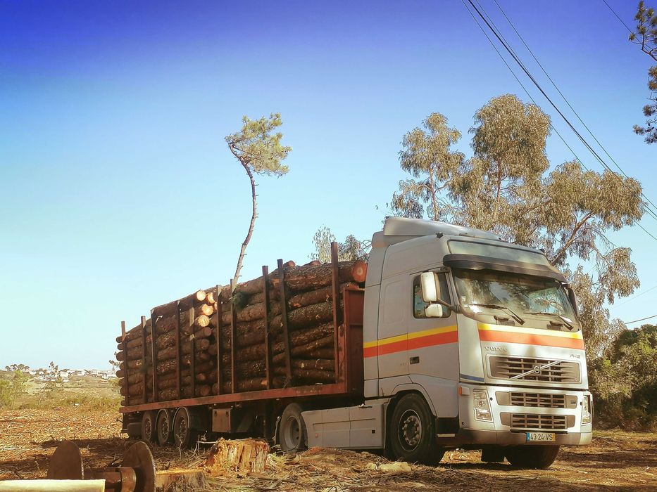Extração de Madeira e Desmatação