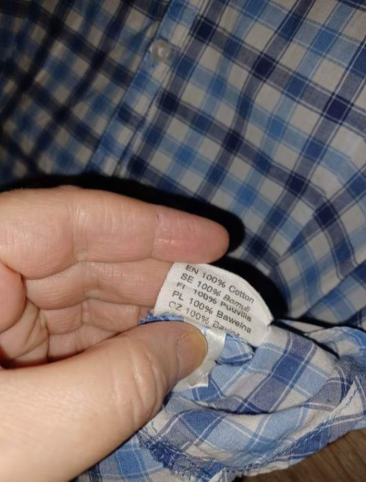 Bluzka w kratkę XXL, KappAhl