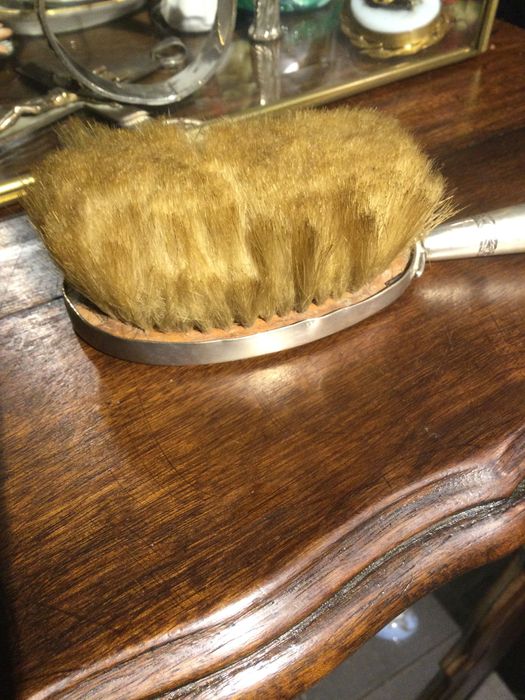 Escova Prata Portuguesa contrastada Javali 18 cm Arte nova 96 gramas