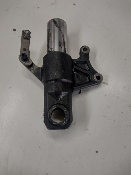 Goleń kawasaki z 1000