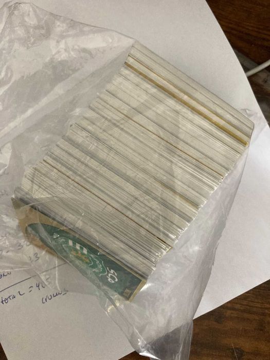 405 cromos Panini 24/25 - sem repetidos