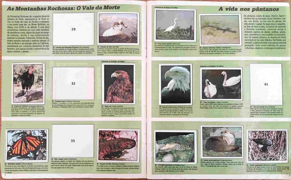 Caderneta WWF Animais a salvar - Panini