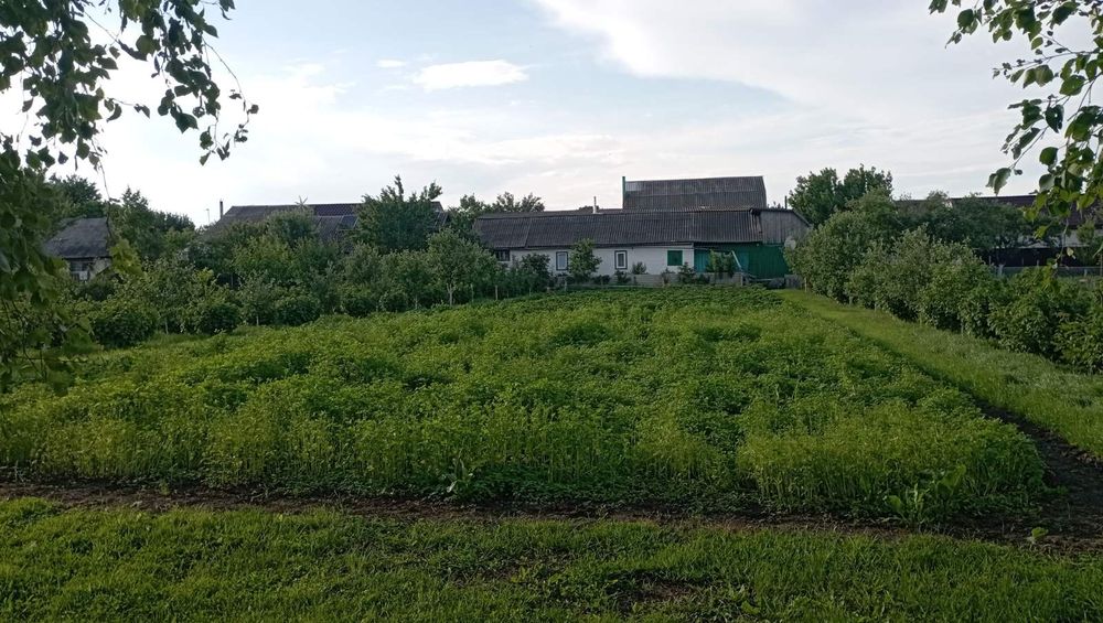 Продам добротну  садибу