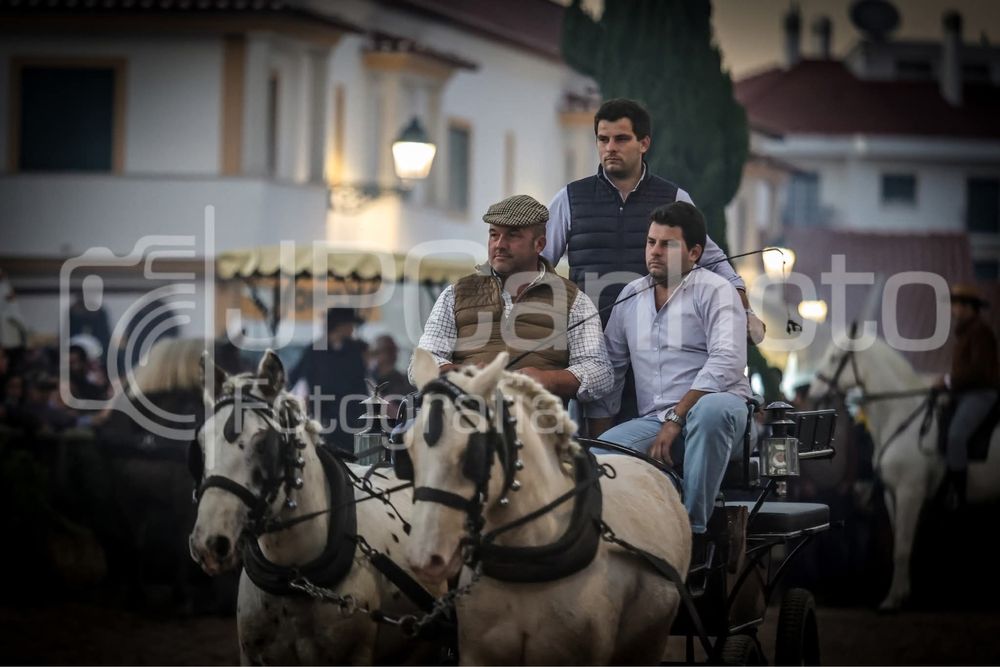 Festas/casamentos/eventos