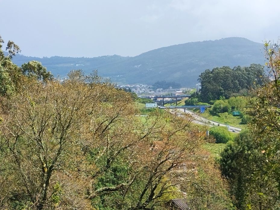 Permuto terreno com 5 hectares em Sequeira (Braga)