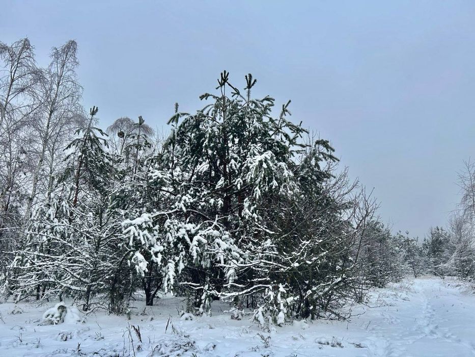 Продам змельну ділянку! Фасівочка. 54Га. Забудова
