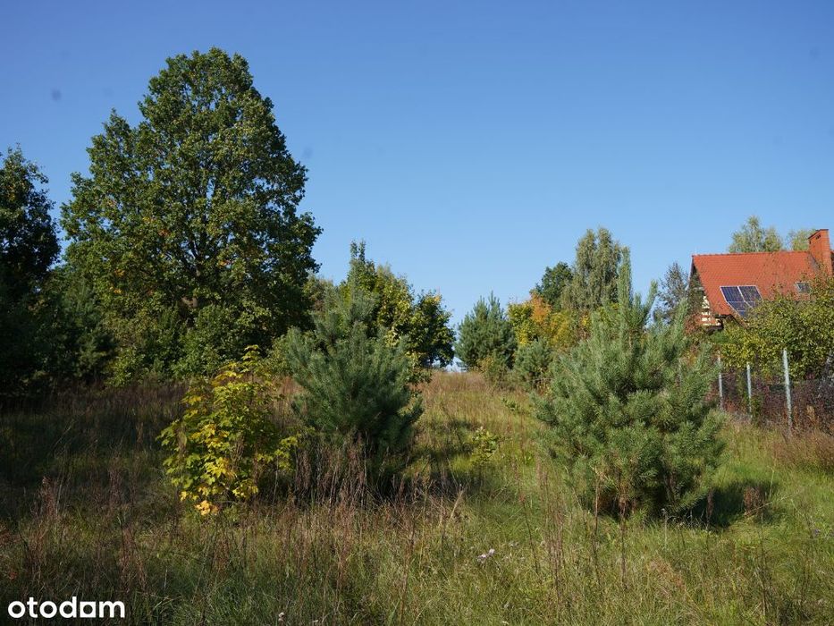 Wyjątkowa działka widokowa 2800 m²|Dolina Radomki|PuszczaKozienicka|WZ - Więcej