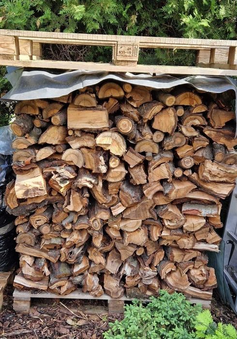 Drewno owocowe do wędzenia, zrębka zrębki trociny opał do kominka