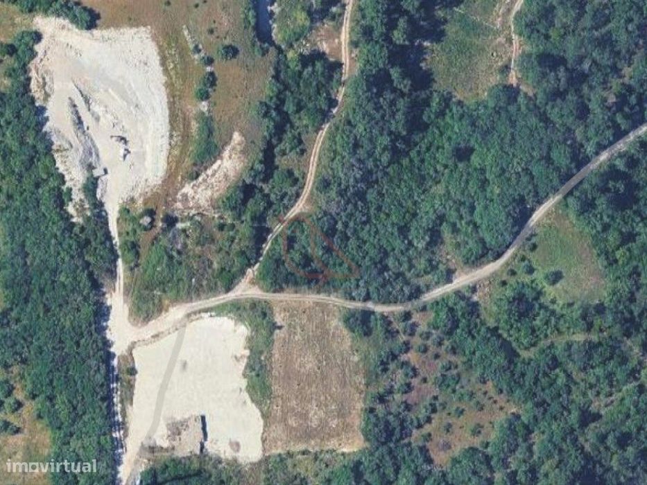 Terreno Rústico com 6.000 m² em Reguengo do Fetal - Potencial para ...
