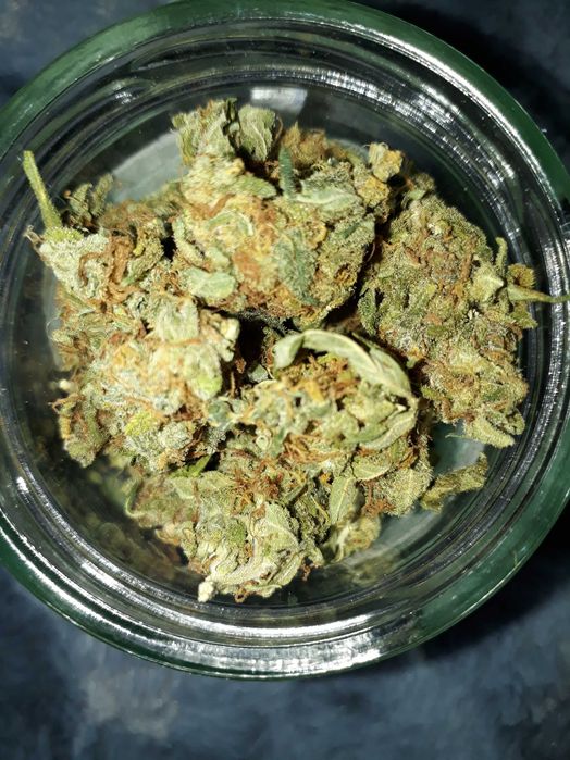 10g Trainwreck Susz Roślinny cbt cbl cbc Raj Haj z Kalifornii! Działa!