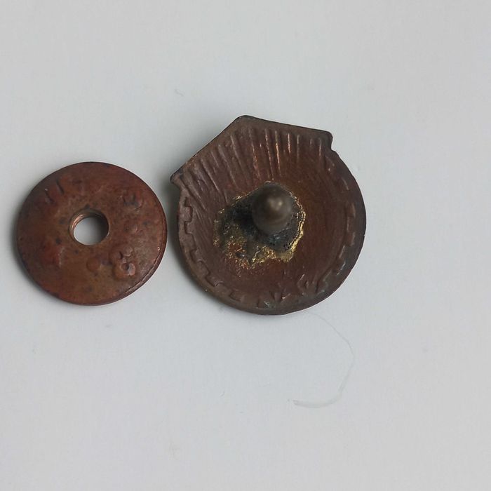 Значки ДСО Салют