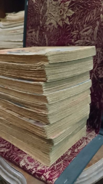Arnaldo Gama vários 10 Títulos ver fotos