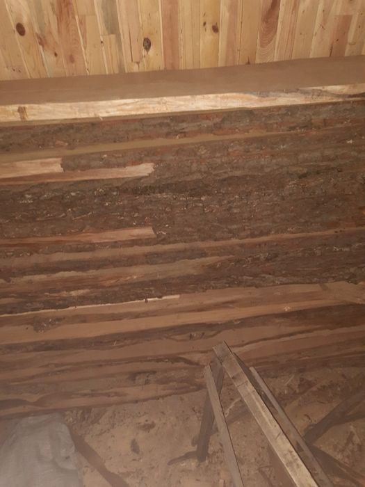 Дуб 50 (тридцатка)