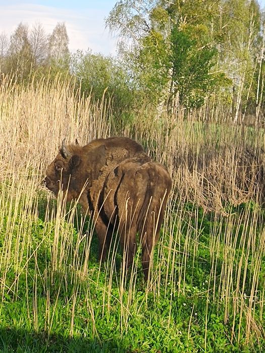 Agroturystyka Teremiski